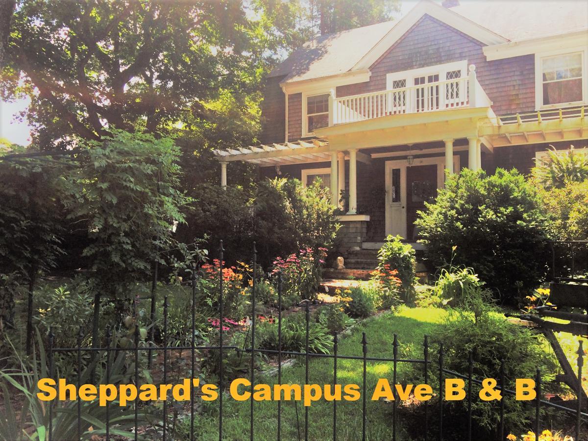 Sheppard'S Campus B&B Kingston Zewnętrze zdjęcie